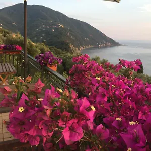 https://bb-case-rosse.hotelitalianriviera.com
